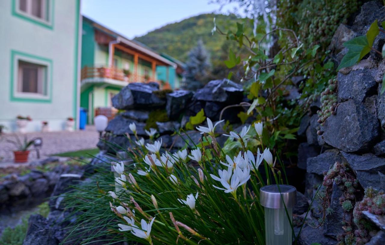 Pension Charisma Băile Herculane Exterior photo